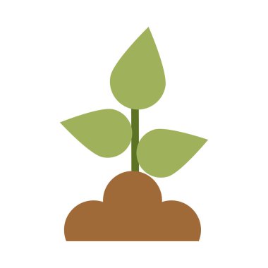 beyaz arkaplana yerleştirilmiş ev bitkileri