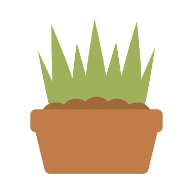 Beyaz arka planda saksıda ev bitkileri