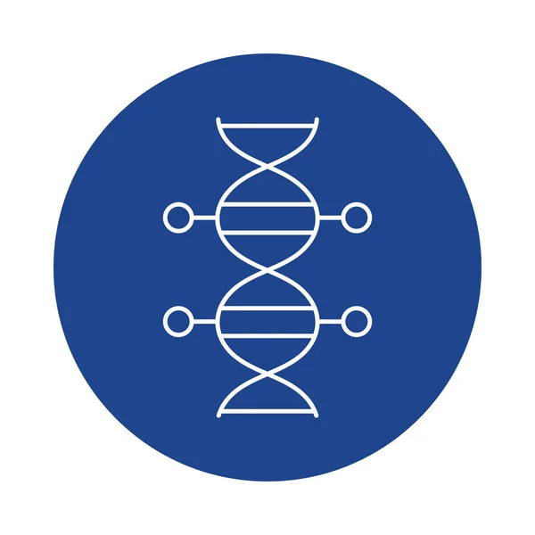 DNA molekülü, satır blok biçimi simgesi — Stok Vektör