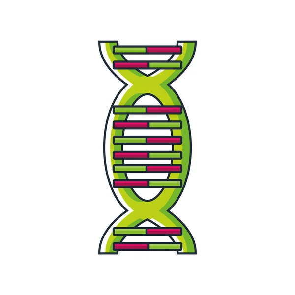 Molécule d'ADN sur fond blanc — Image vectorielle