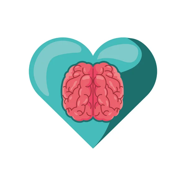 Corazón con cerebro sobre fondo blanco — Vector de stock