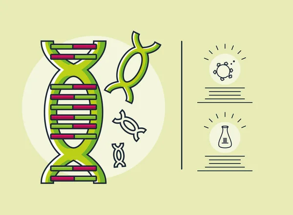 Infographie avec molécule d'ADN, coronavirus de recherche — Image vectorielle