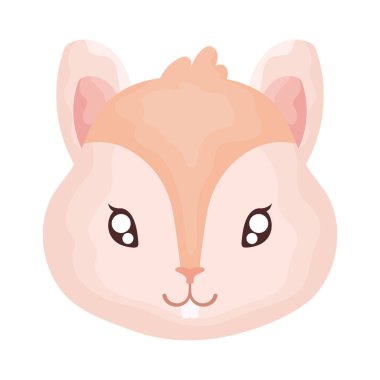 Beyaz arka planda sevimli kedi başı, kedi evcil