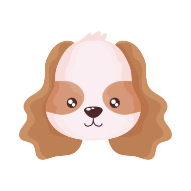 beyaz arka plan üzerinde sevimli köpek başı