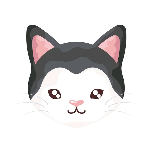Tête de chat mignon sur fond blanc, domestique félin — Image vectorielle