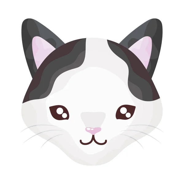 Tête de chat mignon sur fond blanc, domestique félin — Image vectorielle