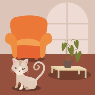 Oturma odasında sevimli bir kedi var.