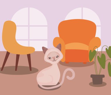 Oturma odasında sevimli bir kedi var.