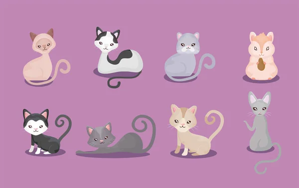 Набор милых котов, кошачий домашний — стоковый вектор