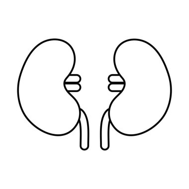 böbrek çizgisi biçim vektör tasarımı