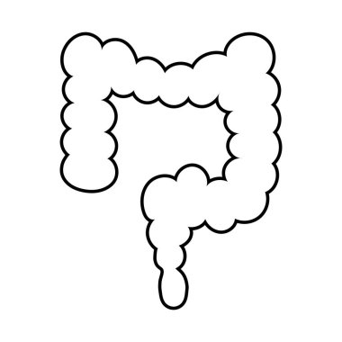 bağırsak organı çizgisi biçim vektör tasarımı