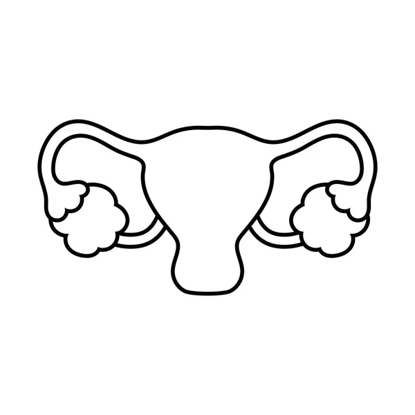 Línea del sistema reproductivo femenino icono de diseño de vectores — Archivo Imágenes Vectoriales