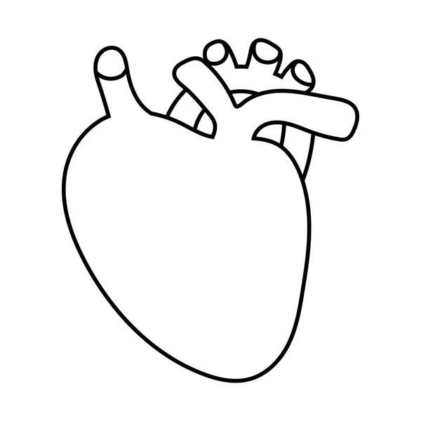 Design de vetor ícone de estilo de linha de órgão cardíaco — Vetor de Stock