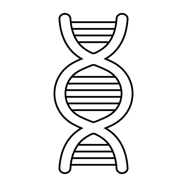 Design de vetor de ícone de estilo de linha de estrutura de dna — Vetor de Stock