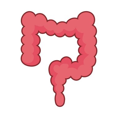 bağırsak organı düz biçim ikon vektör tasarımı