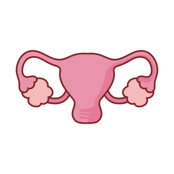 Sistema reprodutivo feminino design de vetor ícone de estilo plano — Vetor de Stock