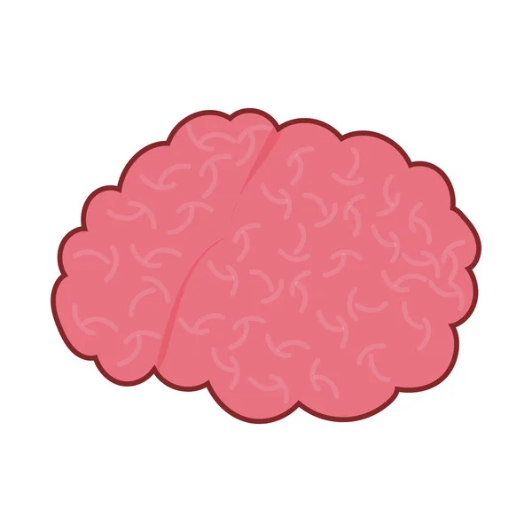 Beyin organı düz biçim ikon vektör tasarımı — Stok Vektör