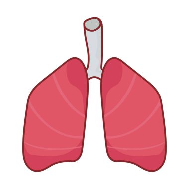 ciğerler organ düz biçim ikon vektör tasarımı