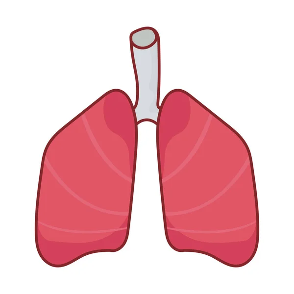 肺オルガンフラットスタイルアイコンベクトルデザイン — ストックベクタ
