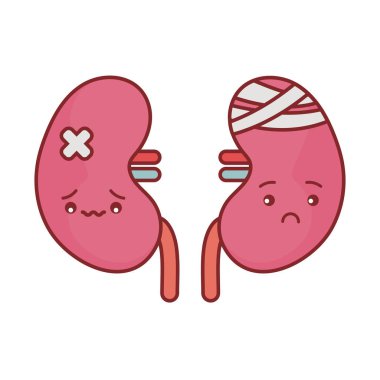 Böbrekler çizgi film düz biçim ikon vektör tasarımı