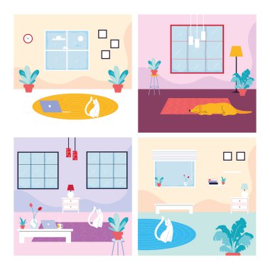 Kedi ve köpekli bir kart seti