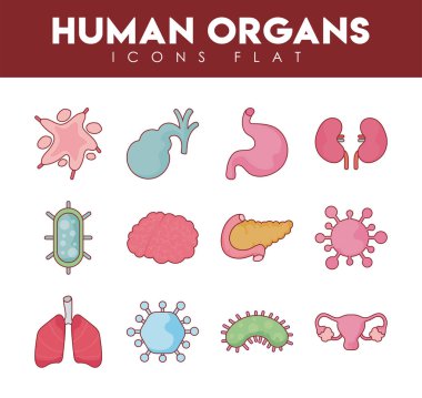 İnsan organları ve virüs düz biçim vektör tasarımı