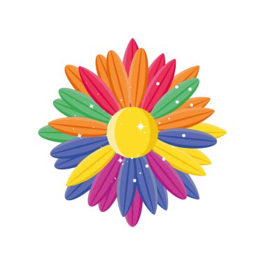 Beyaz arka planda neşeli gurur çiçeği