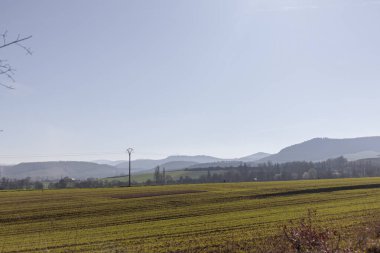 Vitoria-Gasteiz 'de arka planda dağlar ve elektrik direkleriyle yeşil alan, Bask Ülkesi, İspanya