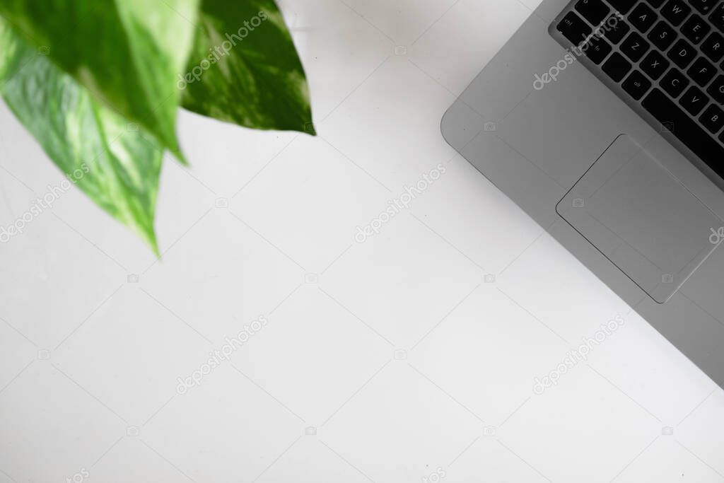 Laptop in a white background with a plant. Flat lay, top view, planning goals