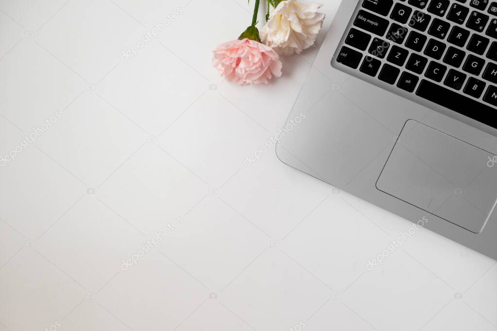 Grey laptop with flowers in a white background. Copyspace. Banner. Flat lay. Aerial view