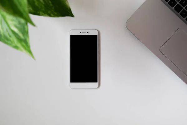 Flache Lagekomposition Eines Smartphones Mit Laptop Vor Weißem Hintergrund Pflanzen — Stockfoto