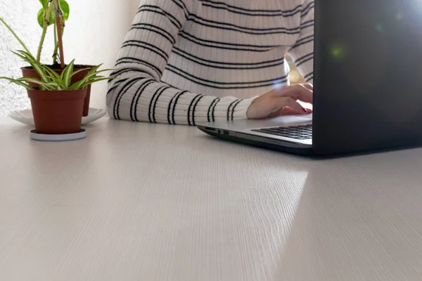 Businesswoman typing on laptop. Workspace of freelance entrepreneur