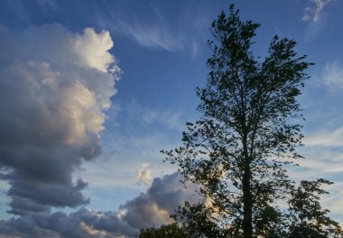 Sağda bir ağaçla yağmurdan önce mayıs günü sağda sağda sağda yağmur bulutları var.