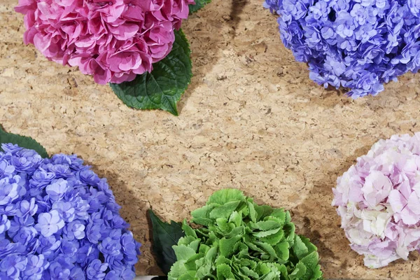 Masaya ortanca çiçek