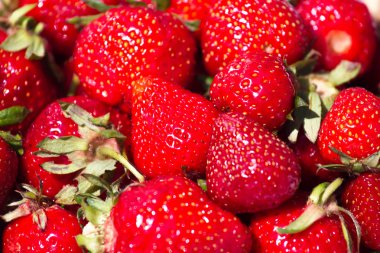 Çilek arka plan. Sulu fotoğraf üzerinde olgunlaşmış, kırmızı, ham