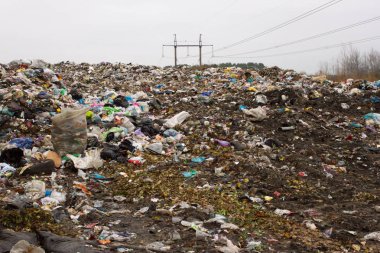 Ukrayna, plastik içinde terk yığınları düzenli depolama. İnorganik atık karmakarışık boyunca yollar