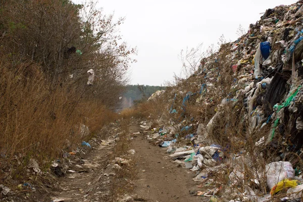 Vertedero en Ucrania, montones de plástico tirado en. Los caminos a lo largo de residuos inorgánicos se mezclan —  Fotos de Stock