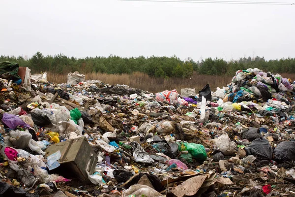Montón de bolsas de plástico y otros productos derivados del petróleo refinados vertidos en vertederos. El montón de basura se infiltra en el suelo. Se requiere la clasificación de residuos. Ciudad de Lviv —  Fotos de Stock
