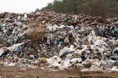 Ukrayna, plastik içinde terk yığınları düzenli depolama. İnorganik atık karmakarışık boyunca yollar