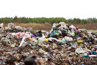 Ukrayna, plastik içinde terk yığınları düzenli depolama. İnorganik atık karmakarışık boyunca yollar
