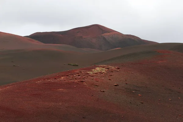 Paisaje volcánico de piedra del desierto en Lanzarote, Islas Canarias —  Fotos de Stock
