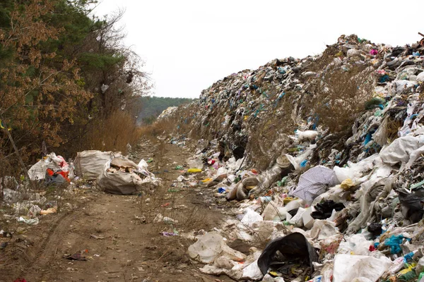 Свалка на Украине, куча пластика. Дороги вдоль неорганических отходов перемешаны — стоковое фото