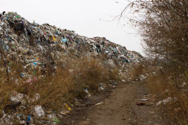Plastik torbalar ve diğer yığını rafine edilmiş petrol ürünleri çöpe. Çöp yığını verir zemine sızmak. Atık sıralama gereklidir. Lviv şehir