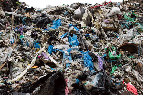 Куча пластиковых пакетов и других нефтепродуктов, сброшенных на свалку. Мусорная куча проникает в землю. Требуется сортировка отходов. Львов
