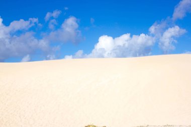 Mavi gökyüzü arka plan üzerinde sarı kum tepelerine yamaçta tepede kum. Sürdürülebilir ekosistem. Kanarya Adası, Fuerteventura