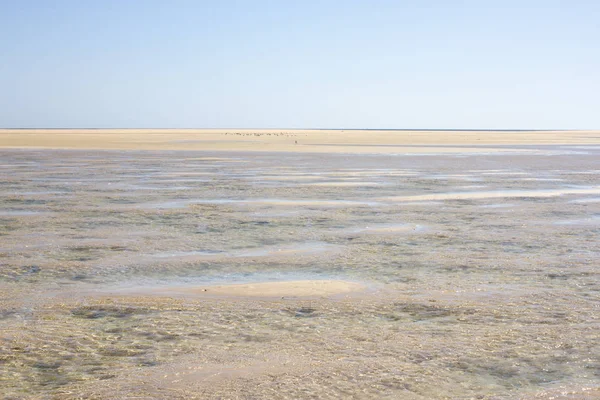 Costa Calma beach, mavi açık lagün inanılmaz görünümünü. Playa Barca, Fuerteventura, Kanarya Adaları, İspanya — Stok fotoğraf