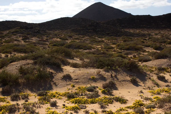 Areia amarela na paisagem do deserto. Vista panorâmica. Fuerteventura, Ilhas Canárias — Fotografia de Stock