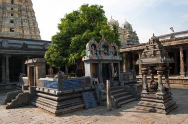 Siva ve Parvati Birliği için adanmış kutsal ağacı mango. Bir Hindu tapınağı Ekambareswarar tapınağıdır. Kachi Ekambam eski titreme tapınak. Kanchipuram şehir içinde en büyük Tapınağı. Tamil Nadu, Hindistan.