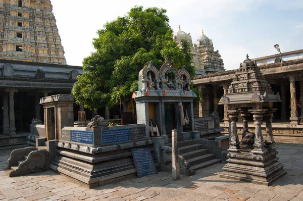 Sacred tree mango dedicated to the union of Siva and Parvati. Ekambareswarar temple is a Hindu temple. Kachi Ekambam old shiva temple. Largest temple in the town of Kanchipuram. Tamil Nadu, India. — Stock Photo, Image