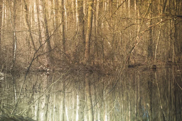 Une rivière forestière dans une forêt printanière. Paysage printanier. Les arbres à feuilles caduques et leur reflet beauté — Photo